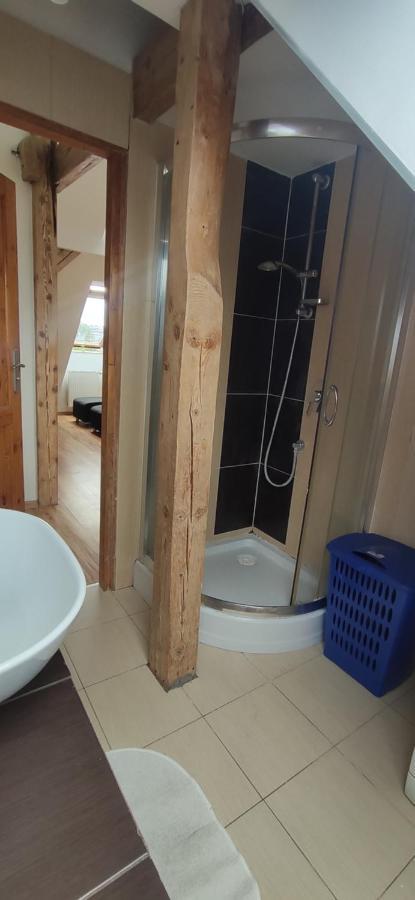 Apartament Gliwice Centrum المظهر الخارجي الصورة